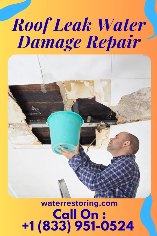 Roof Leak Water Damage Repair in West Slope, OR